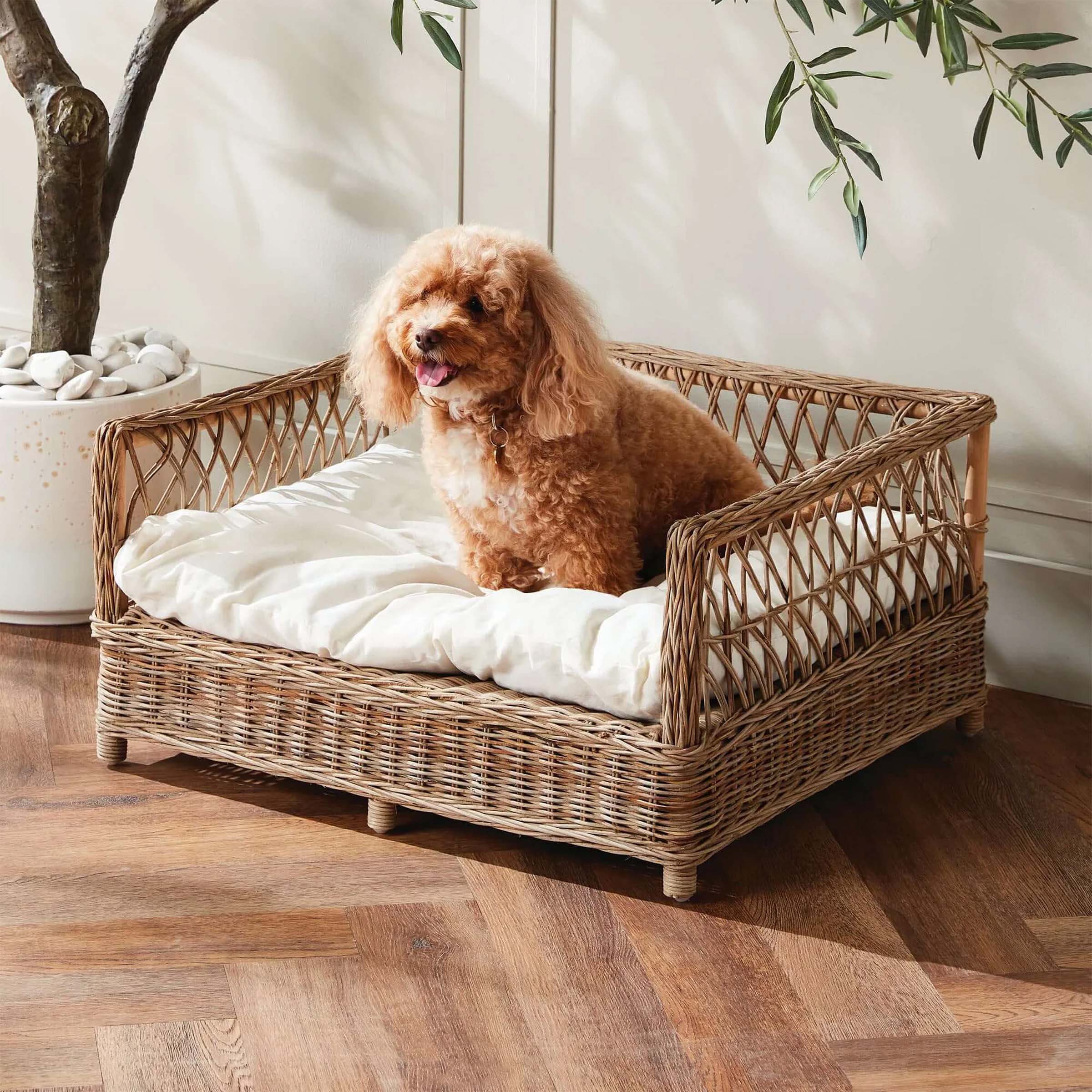 Vintage Gifts for Dog Lovers: Poodle on a woven wicker pet bed with plush cushion in a cozy home setting.