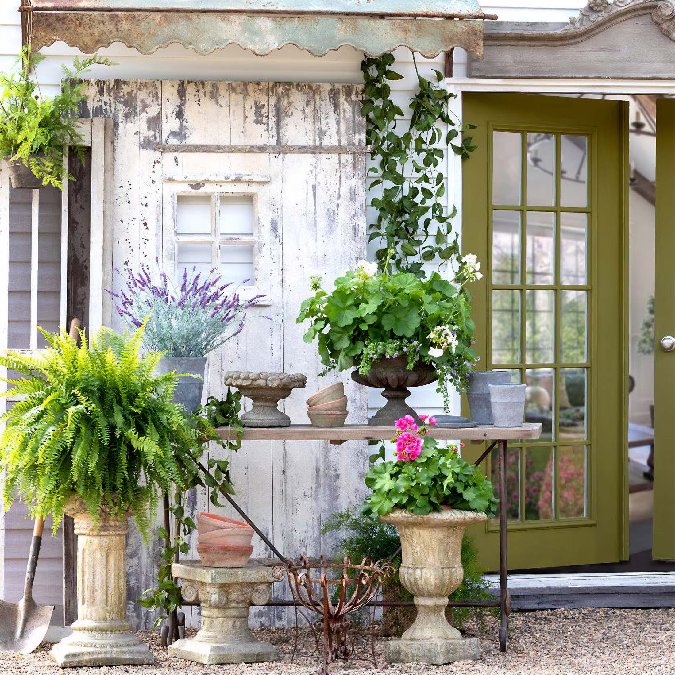 Outdoor display of vintage pots and planters with lush greenery and flowers in a rustic garden setting.