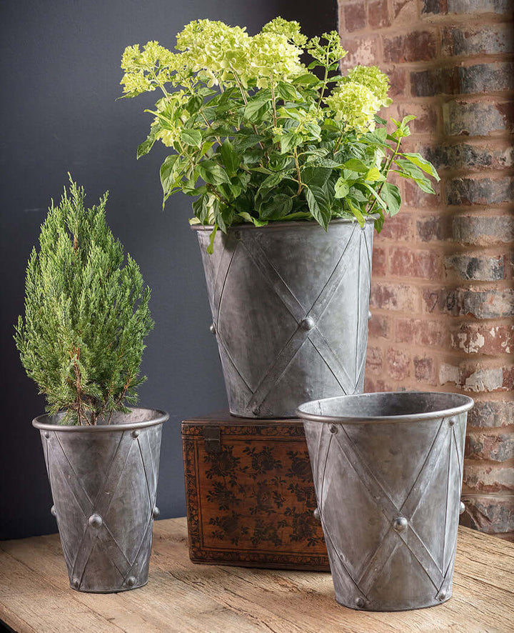 Set of 3 antique farmhouse galvanized metal planters with green plants, showcasing rustic charm and vintage design.