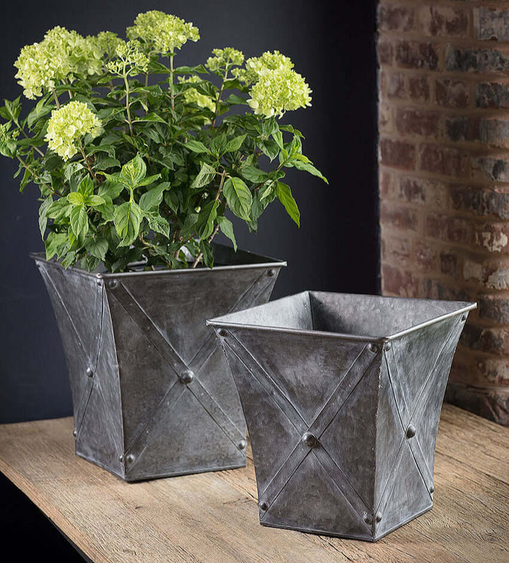 Antique farmhouse galvanized metal square planters set of 2 showcasing plants, perfect for rustic home decor.