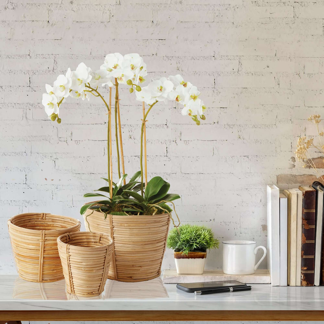 Handwoven Small Rattan Basket Planters placed on a console with other decorative items. Orchids are growing out of the large planter.