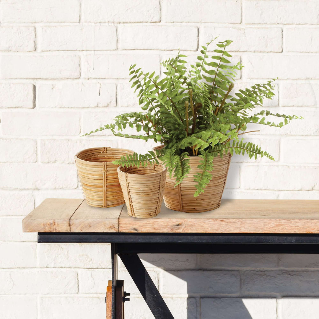 Handwoven Small Rattan Basket Planters placed on a wall shelf. A white brick wall is the backdrop. A fern is growing out of the large planter.