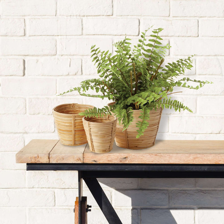 Handwoven Small Rattan Basket Planters placed on a wall shelf. A white brick wall is the backdrop. A fern is growing out of the large planter.