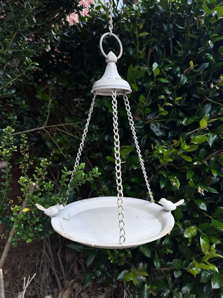 Vintage distressed white hanging bird feeder in garden setting, showcasing chain detail and bird accents.