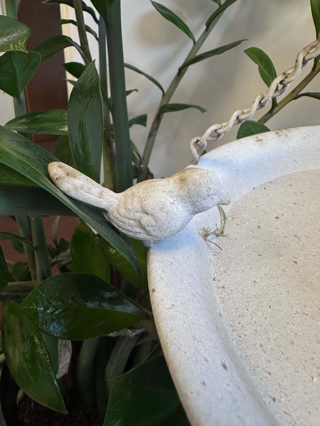 Vintage distressed white hanging bird feeder with bird detail and textured finish, adding charm to a garden setting.