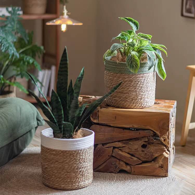woven basket planter Woven Basket with Colored Rim – Vintage Shopper