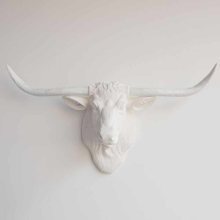 Handcrafted Faux Texas Longhorn Wall Sculpture
