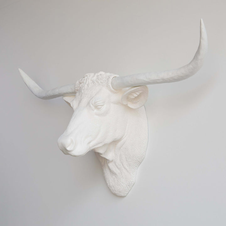 Handcrafted Faux Texas Longhorn Wall Sculpture