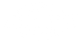 VS_Transparent_inverted