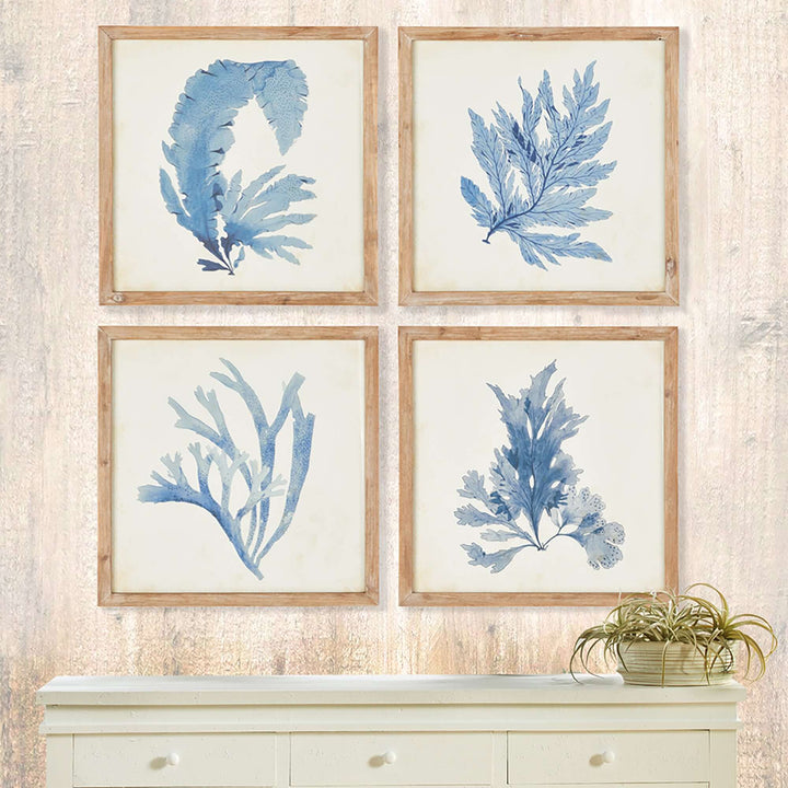 Vintage Coastal Blue Coral Prints with Whitewashed Wood Frames