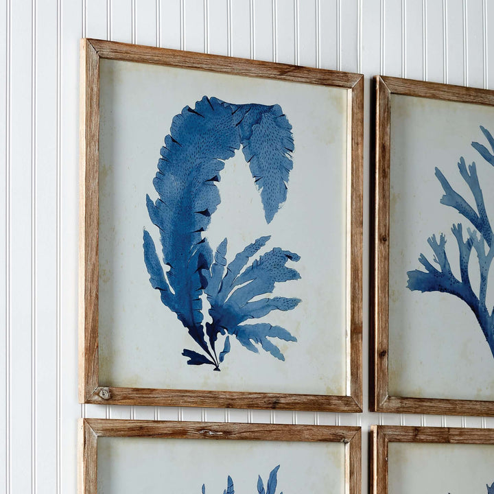 Vintage Coastal Blue Coral Prints with Whitewashed Wood Frames closeup