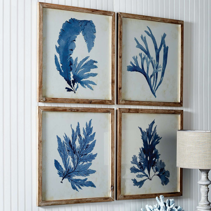 Vintage Coastal Blue Coral Prints with Whitewashed Wood Frames hung on wall with lamp nearby