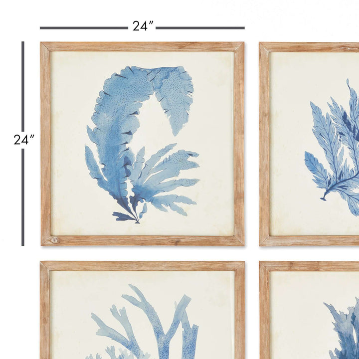 Vintage Coastal Blue Coral Prints with Whitewashed Wood Frames measurements