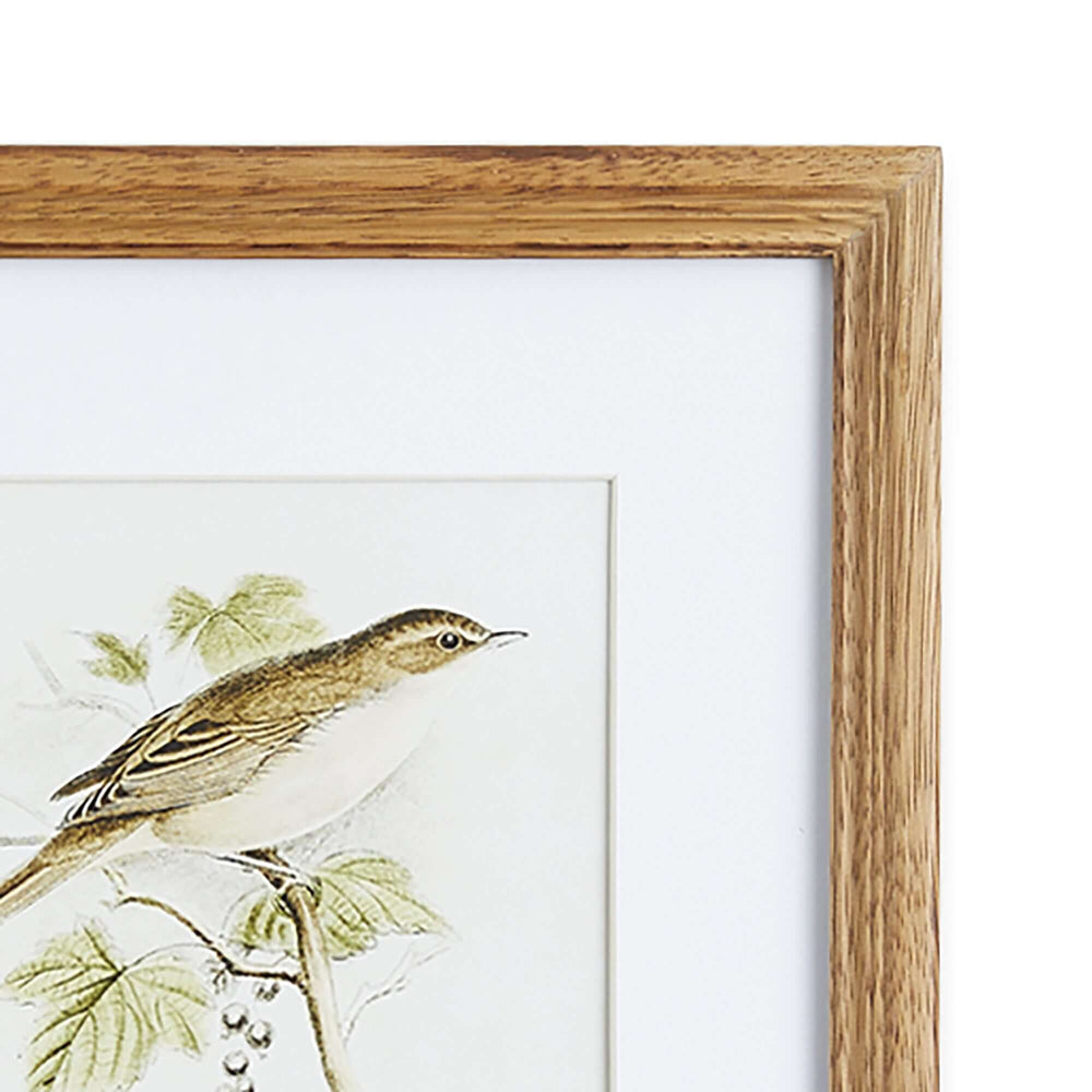 Vintage Songbird Prints Wall Art closeup on frame