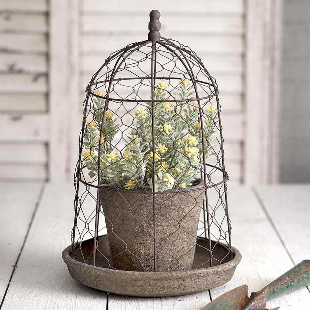 Farmhouse Chicken Wire Cloche with Terra Cotta Pot and Saucer