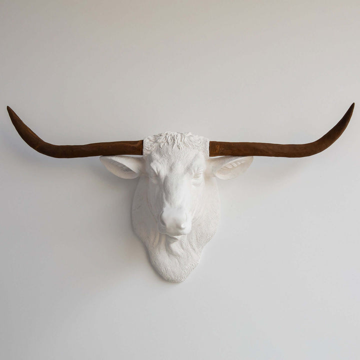 Handcrafted Faux Texas Longhorn Wall Sculpture