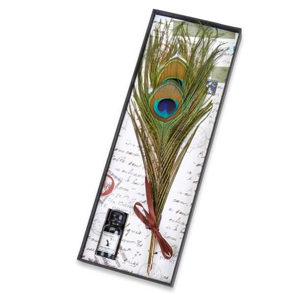 Peacock Feather Quill Pen & Ink Set with vintage writing background, showcasing timeless elegance and artistry for calligraphy enthusiasts.