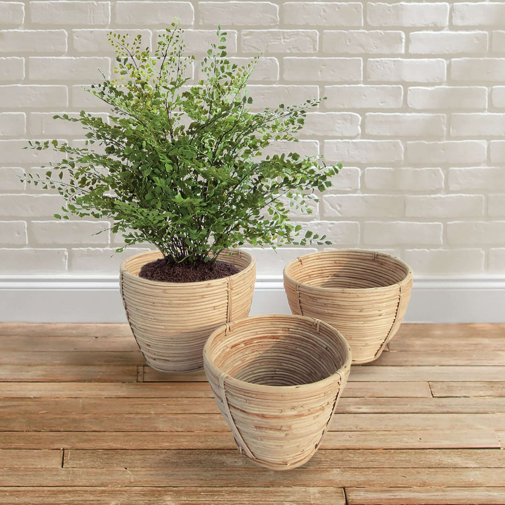 Set of 3 handwoven rattan storage baskets with a plant, ideal for rustic organization and home decor.