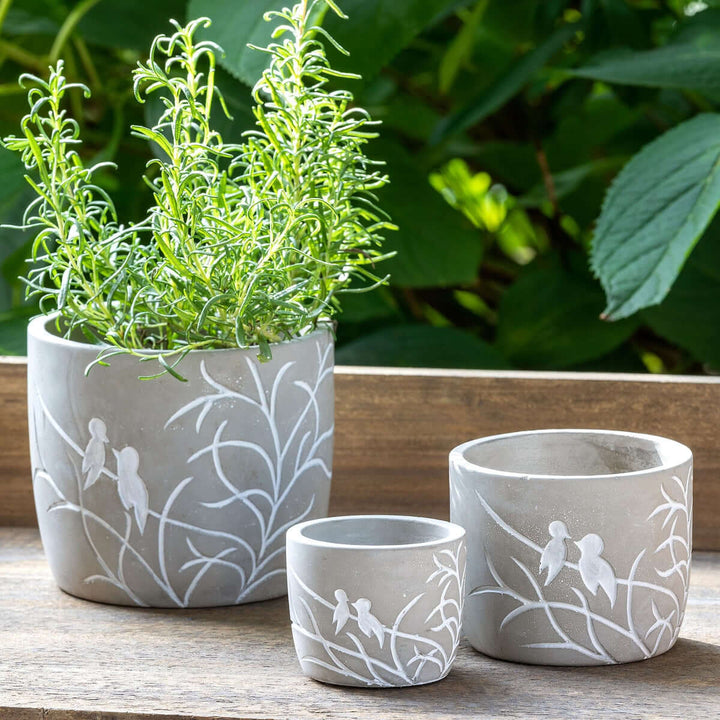 Vintage Lovebirds Silhouette Cement Pot displaying carved white lovebirds on leafy branches, set against a garden backdrop.