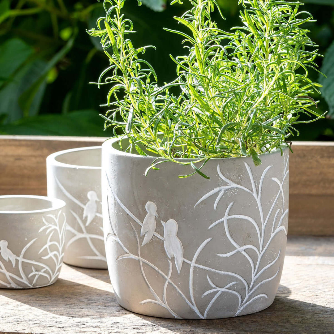Vintage Lovebirds Silhouette Cement Pot with carved lovebirds and leafy branches, displaying a potted plant outdoors.