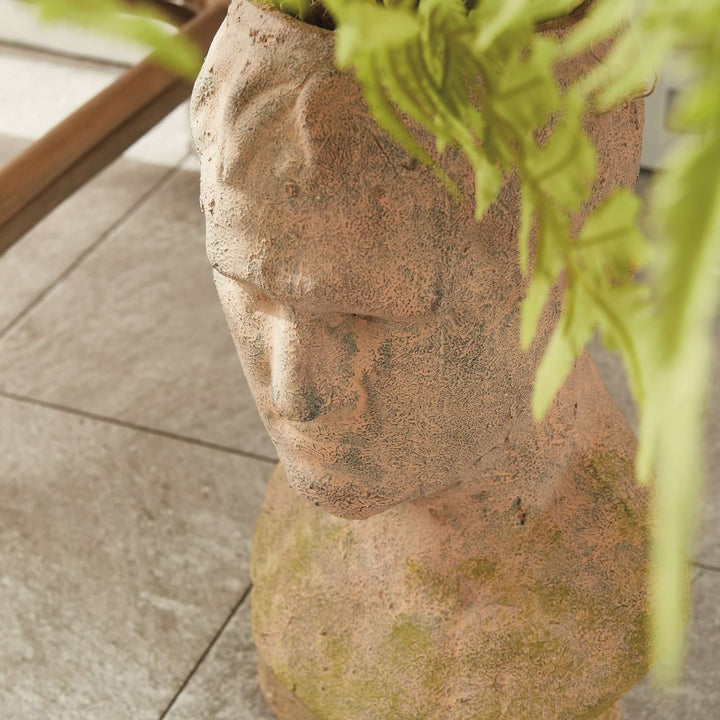 Vintage moss terracotta male bust planter with ferns, exuding classical elegance and timeless artistic beauty.