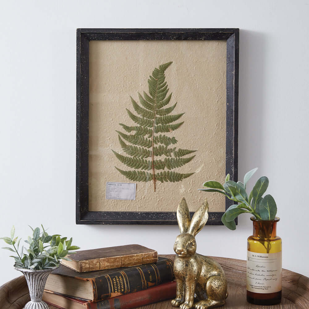 Vintage Pressed Lady Fern Botanical Wall Art displayed on a wall with decor