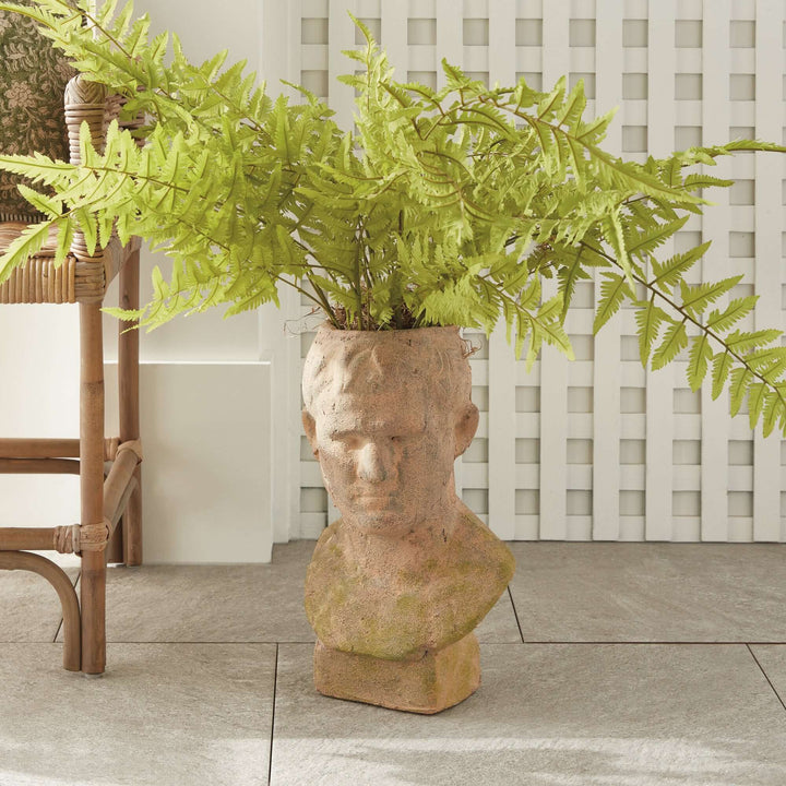 Vintage moss terracotta male bust planter with vibrant ferns, blending classical sculpture and timeless garden charm.