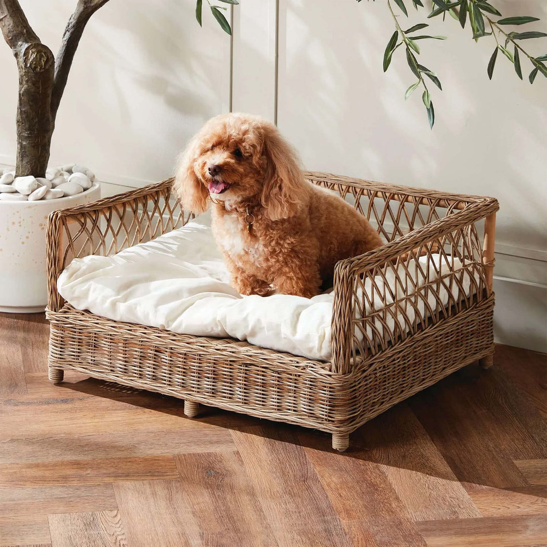 Vintage Gifts for Dog Lovers: Poodle on a woven wicker pet bed with plush cushion in a cozy home setting.