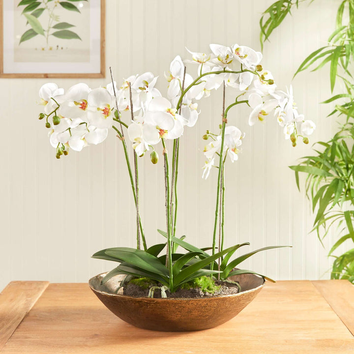 Antique Brass Decorative Bowl with Organic Rim with orchids placed in it