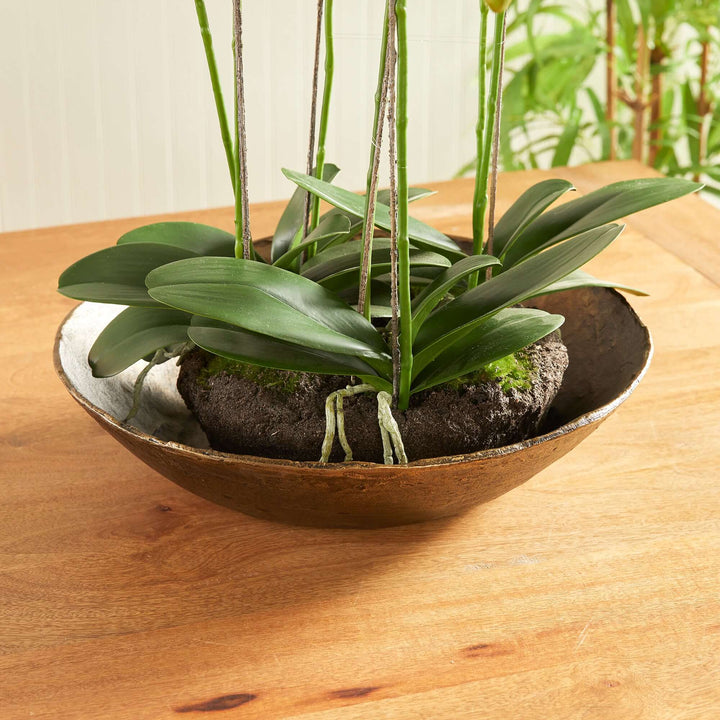 Antique Brass Decorative Bowl with Organic Rim closeup with plants placed in it
