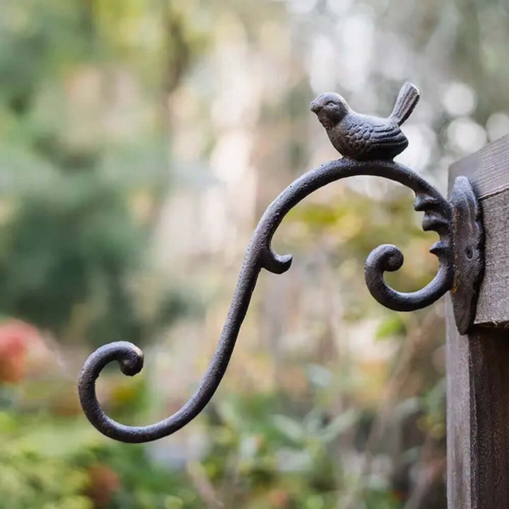 Antique cast iron bird wall hook with elegant curves and perched songbird design, perfect for vintage decor.