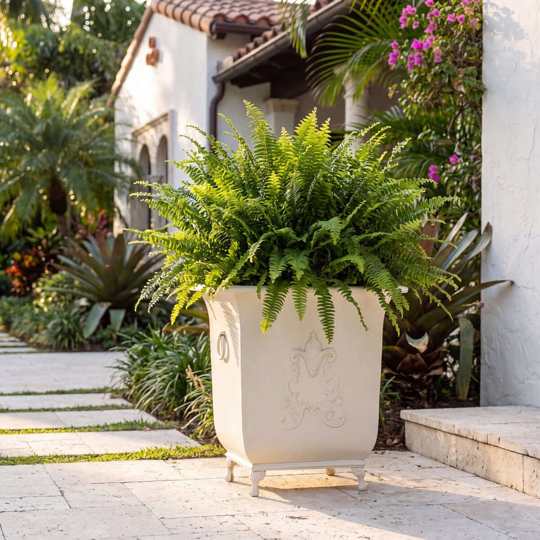 Grand Scroll Planter, Antiqued White
