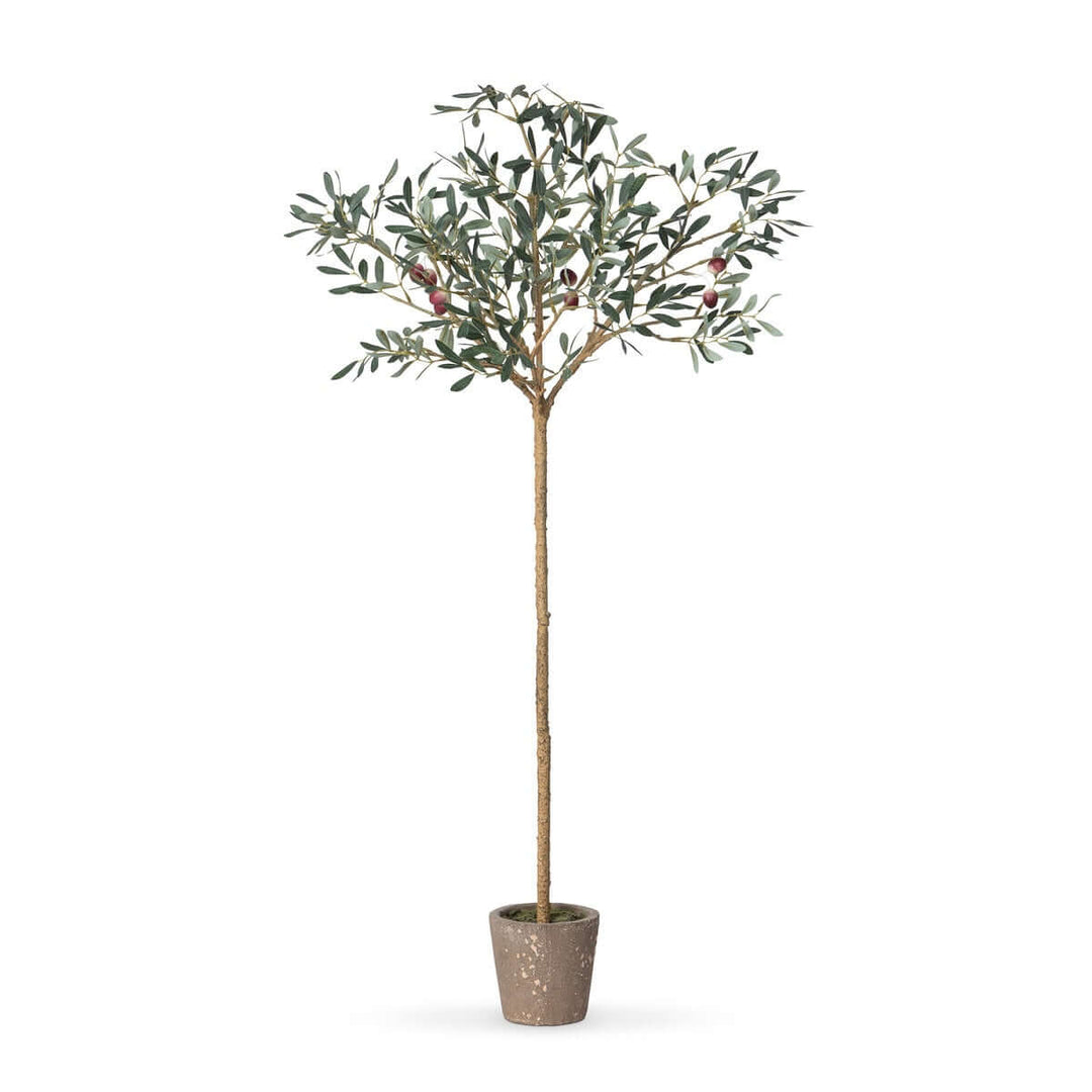 Faux olive tree topiary in a vintage pot with silvery-green leaves, ideal for adding Mediterranean charm to home décor.