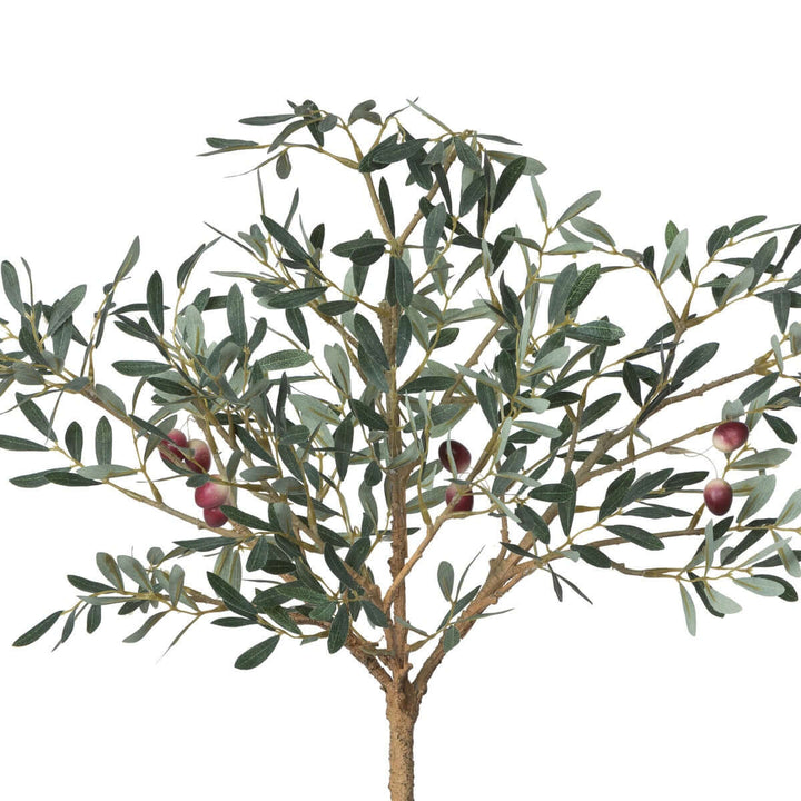 Lifelike faux olive tree topiary with silvery-green leaves showing textured trunk, ideal for Mediterranean decor style.