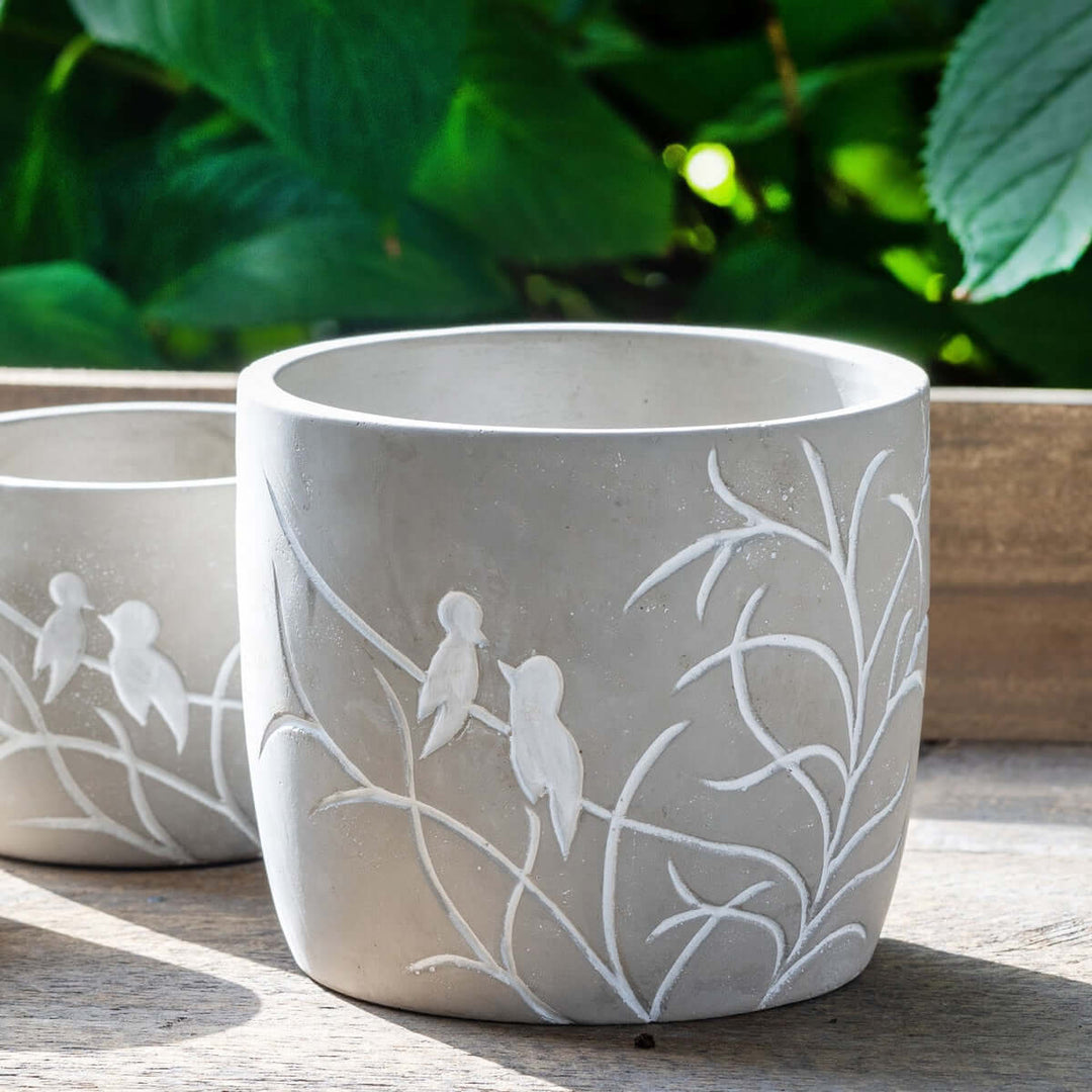 Vintage Lovebirds Silhouette Cement Pot with delicate bird design on leafy branches, in a garden setting, soft gray texture.