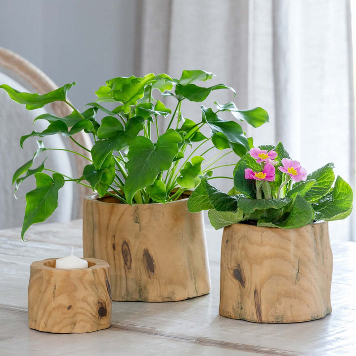 Faux Wood Tree Stump Planter with green plants and flowers on a table, showcasing realistic wood grain texture and natural beauty.