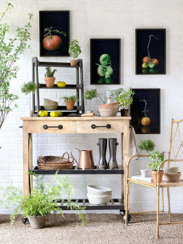 Vintage rolling garden cart with drawers, rustic mango wood and black iron design, surrounded by potted plants and garden-themed decor.