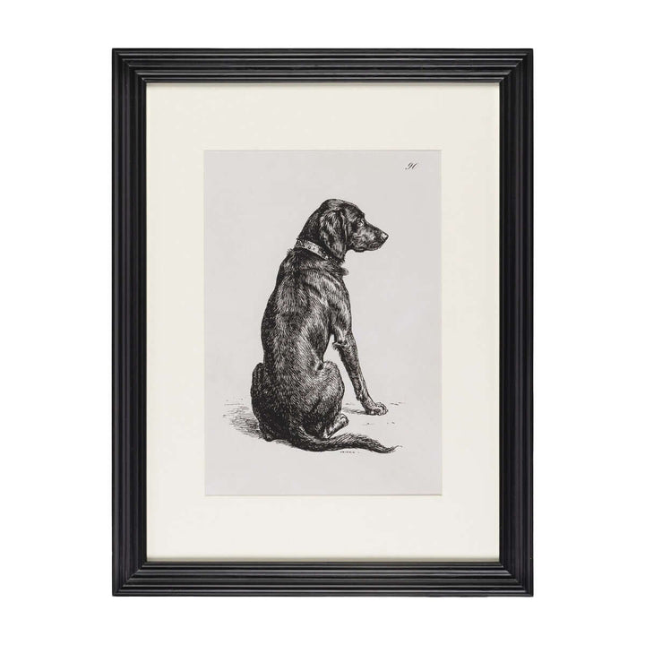 Loyal Guardian Print I