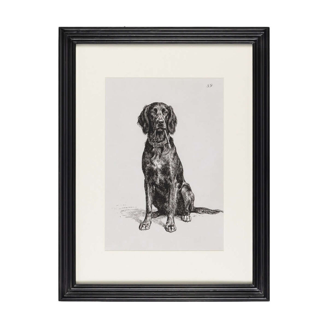 Loyal Guardian Print II