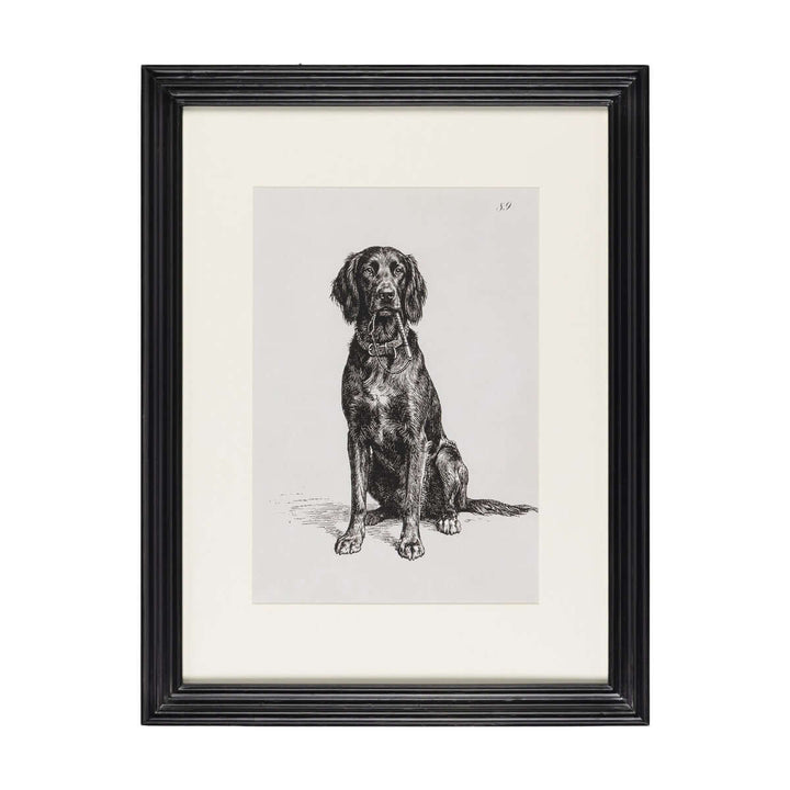 Loyal Guardian Print II