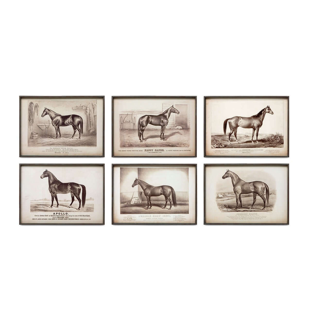 Prized Race Horse Framed Prints, 6 Assorted Styles