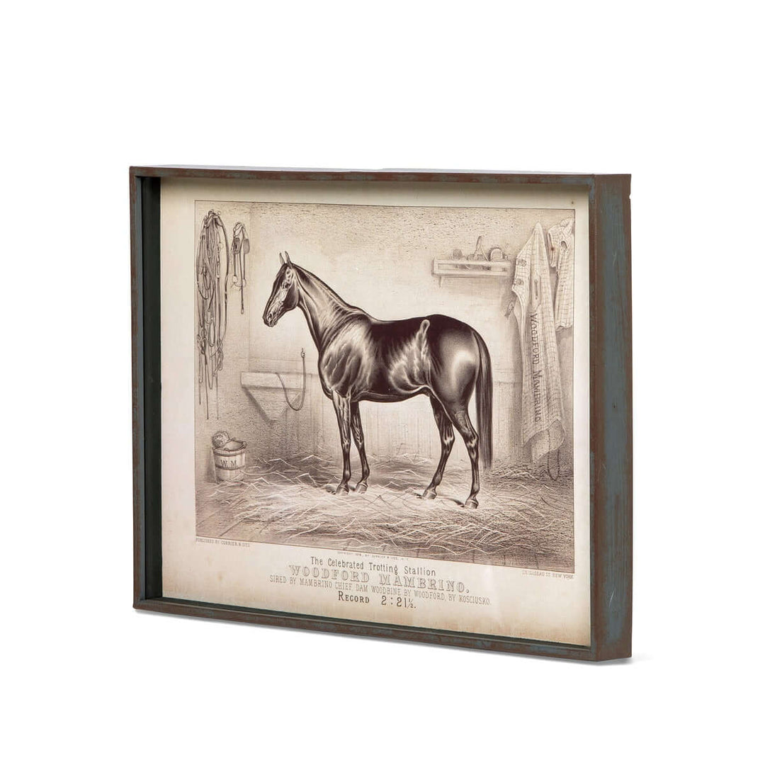 Prized Race Horse Framed Prints, 6 Assorted Styles