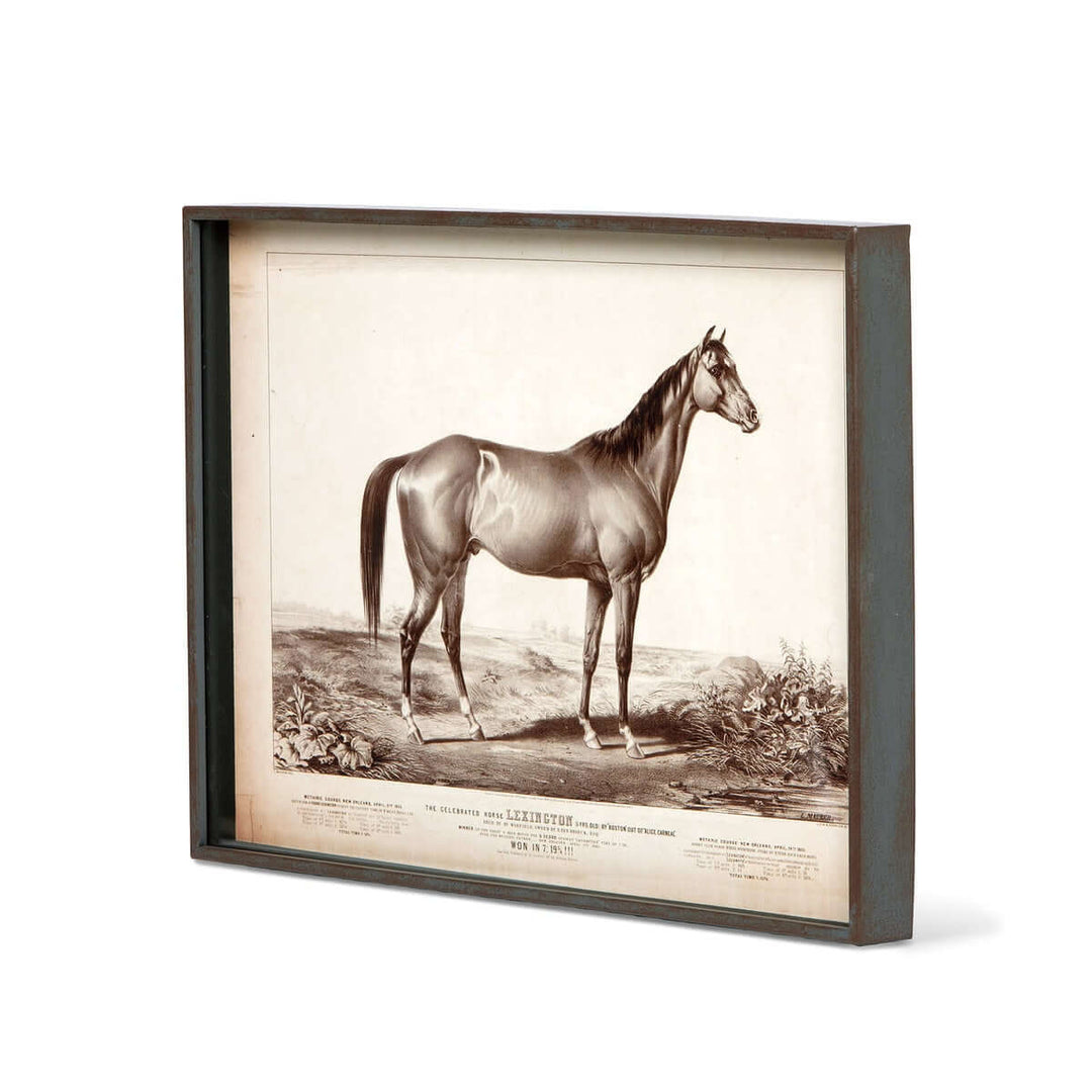 Prized Race Horse Framed Prints, 6 Assorted Styles