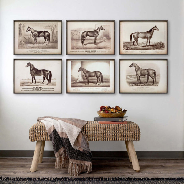 Prized Race Horse Framed Prints, 6 Assorted Styles