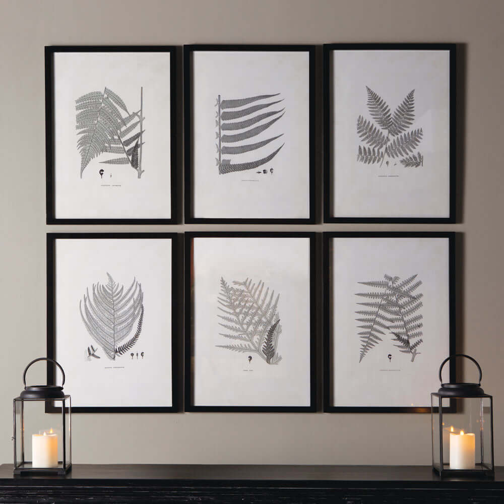 Framed Set of Fern Botanical Prints in Black and White hanging on a wall above a console and two lanterns