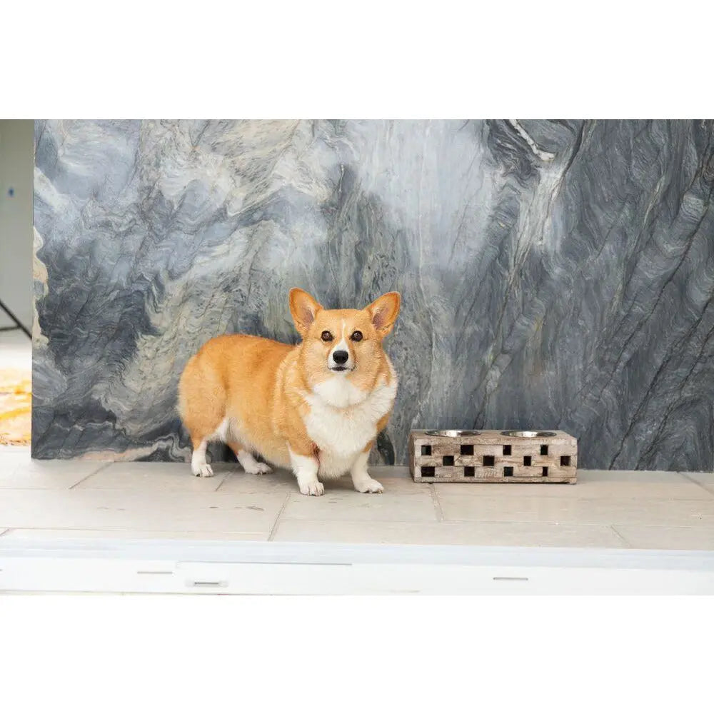 Reclaimed Wood Double Bowl Pet Feeder
