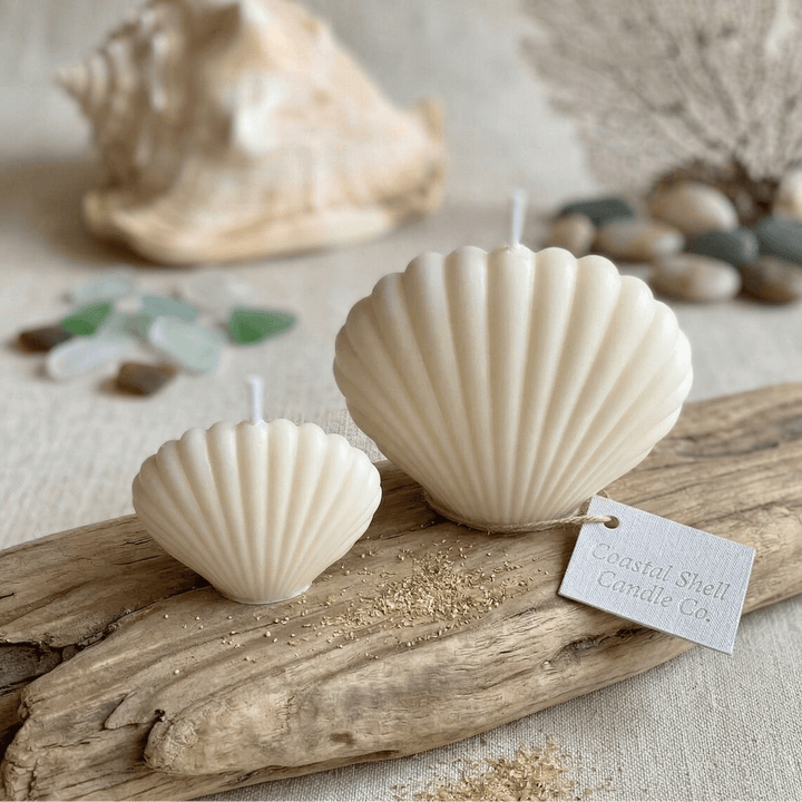 Scallop Shell Soy Wax Candle