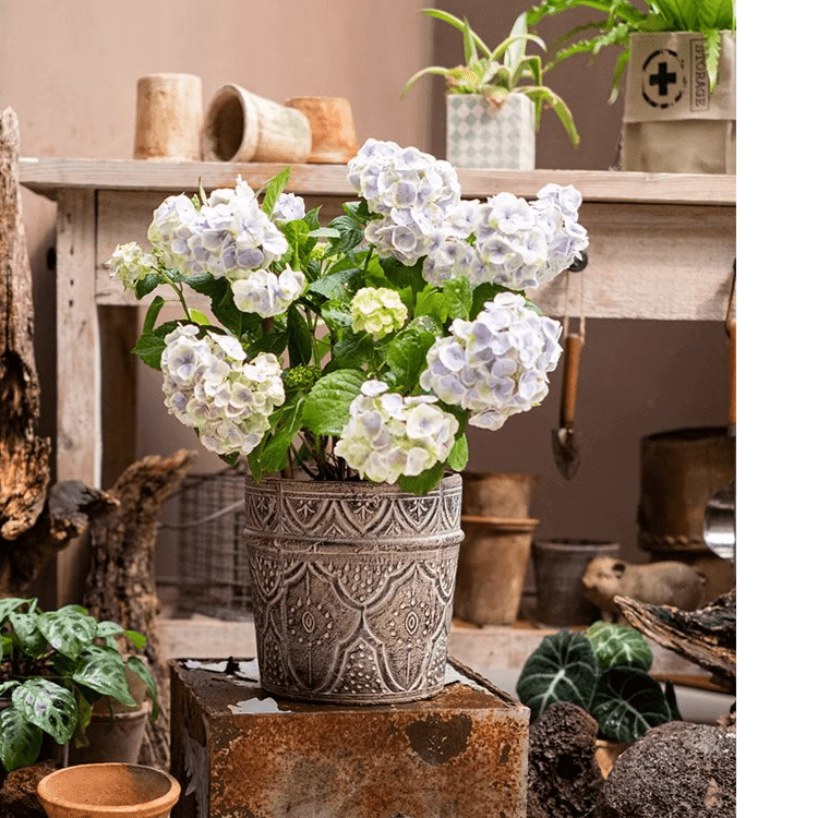 Classic Element Art Planter Clay Flowerpot