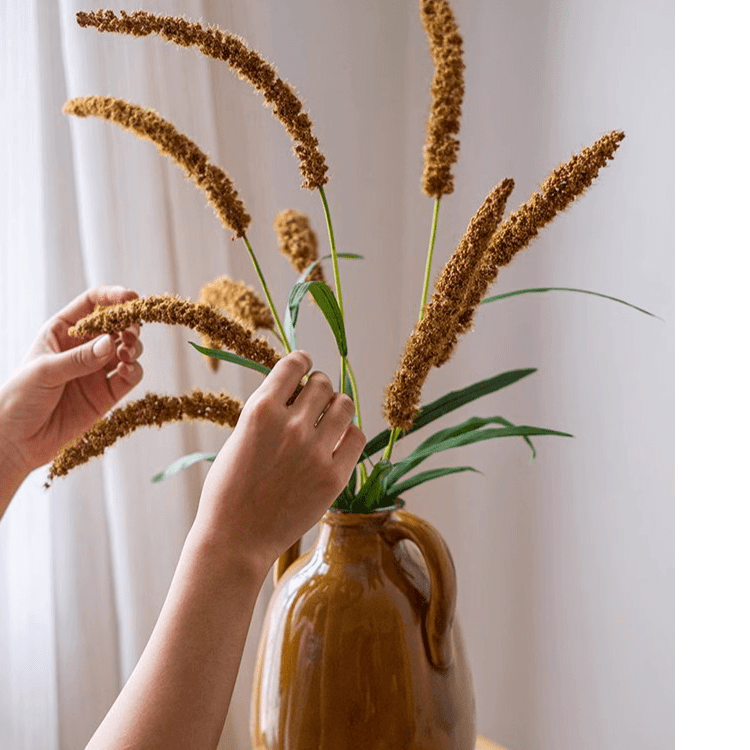 Three-Headed Dogtail Grass Stem 39" Tall