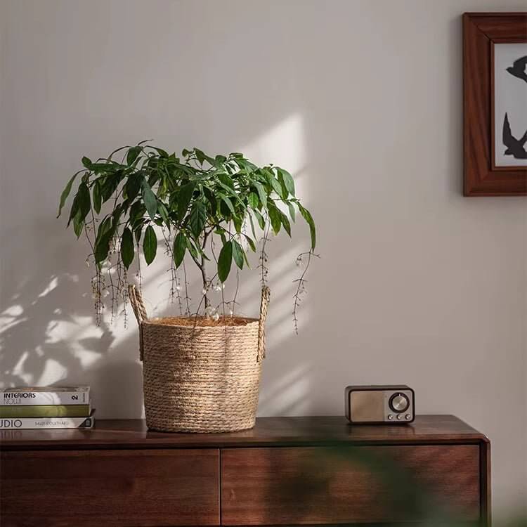 French Country Woven Planter Basket